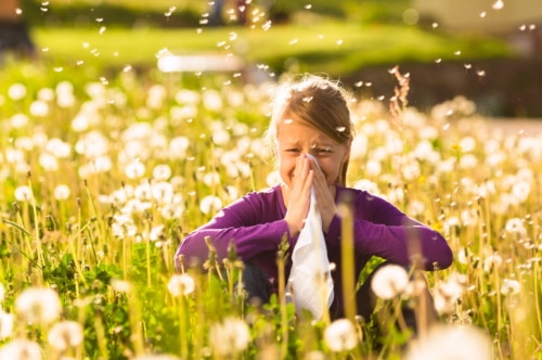 Hay Fever Treatment