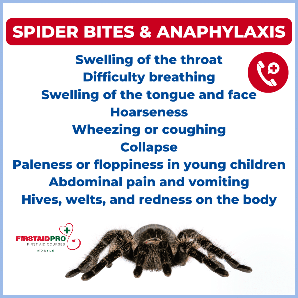 Spider Bites and Anaphylaxis