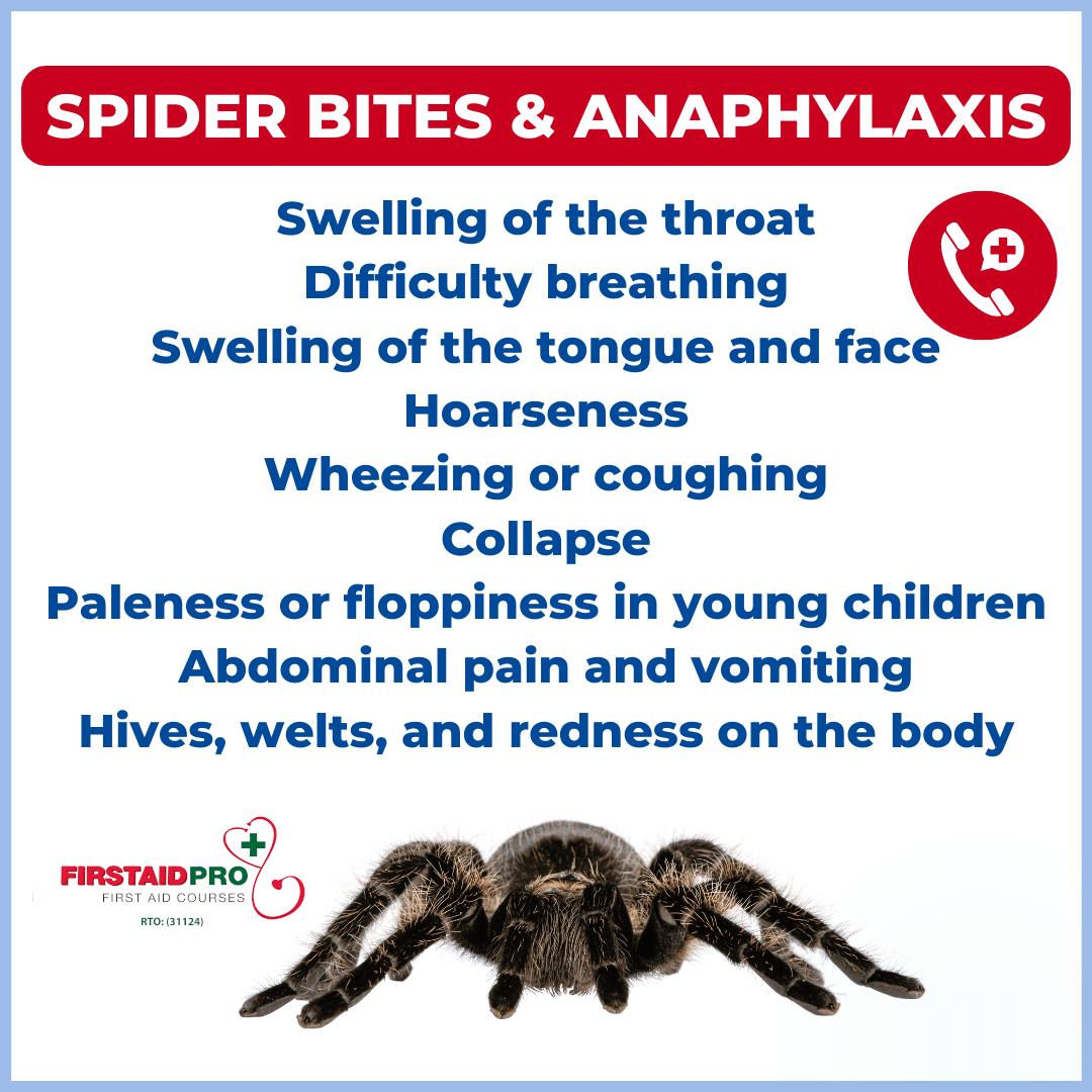 Spider Bites and Anaphylaxis