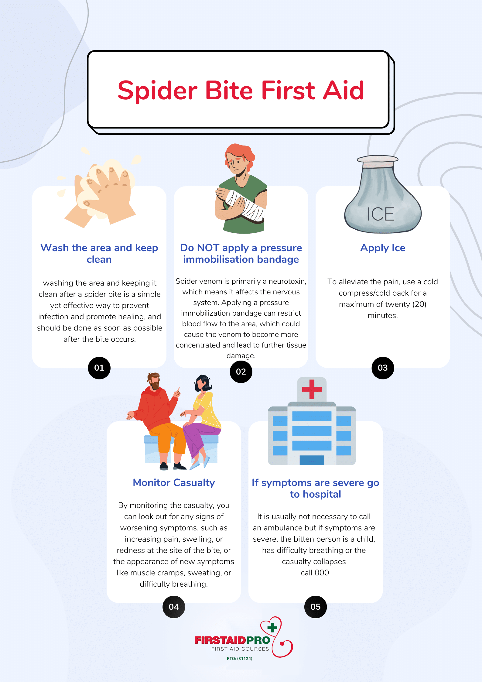 Huntsmen spider bite first aid