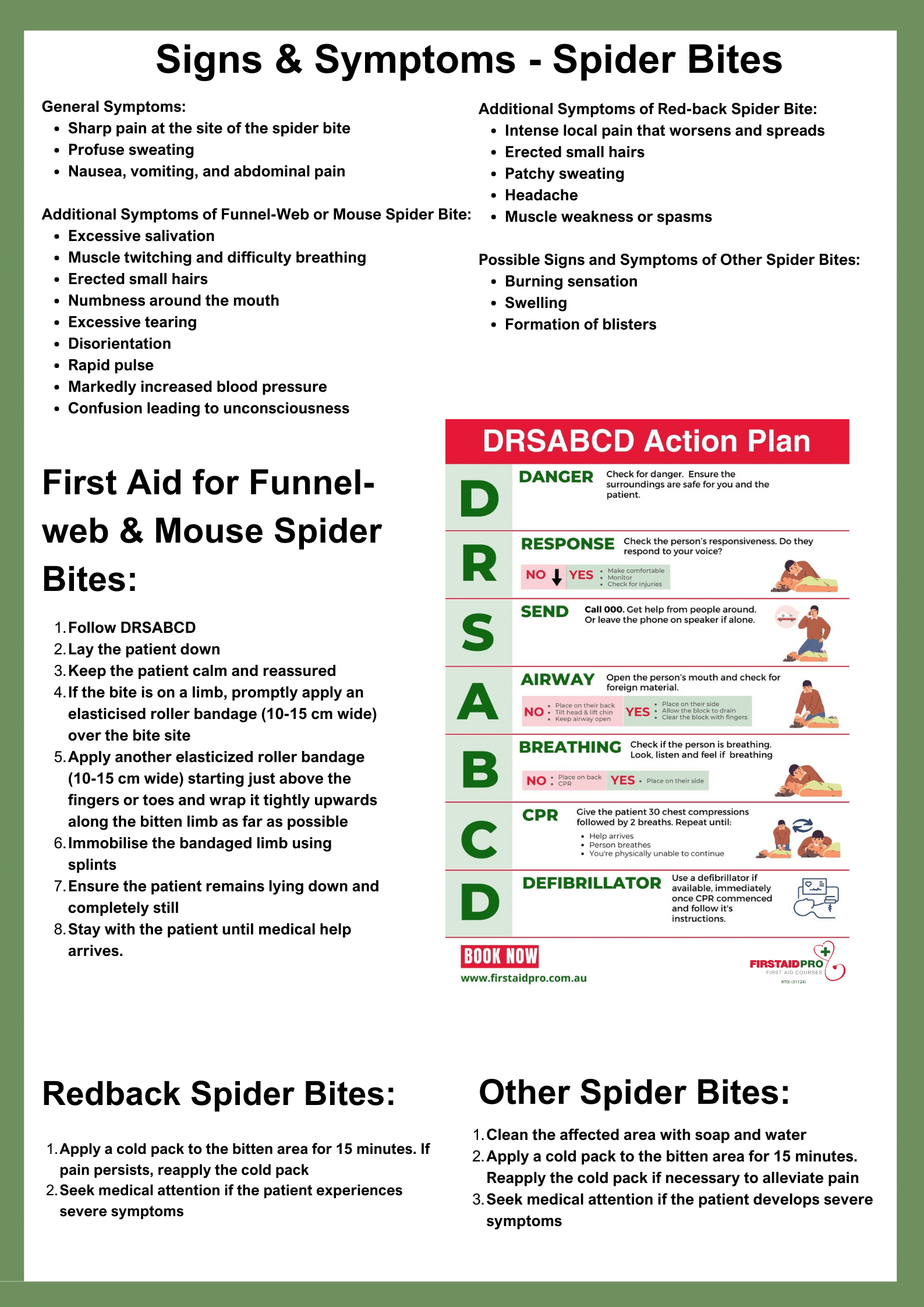 Spider Identification