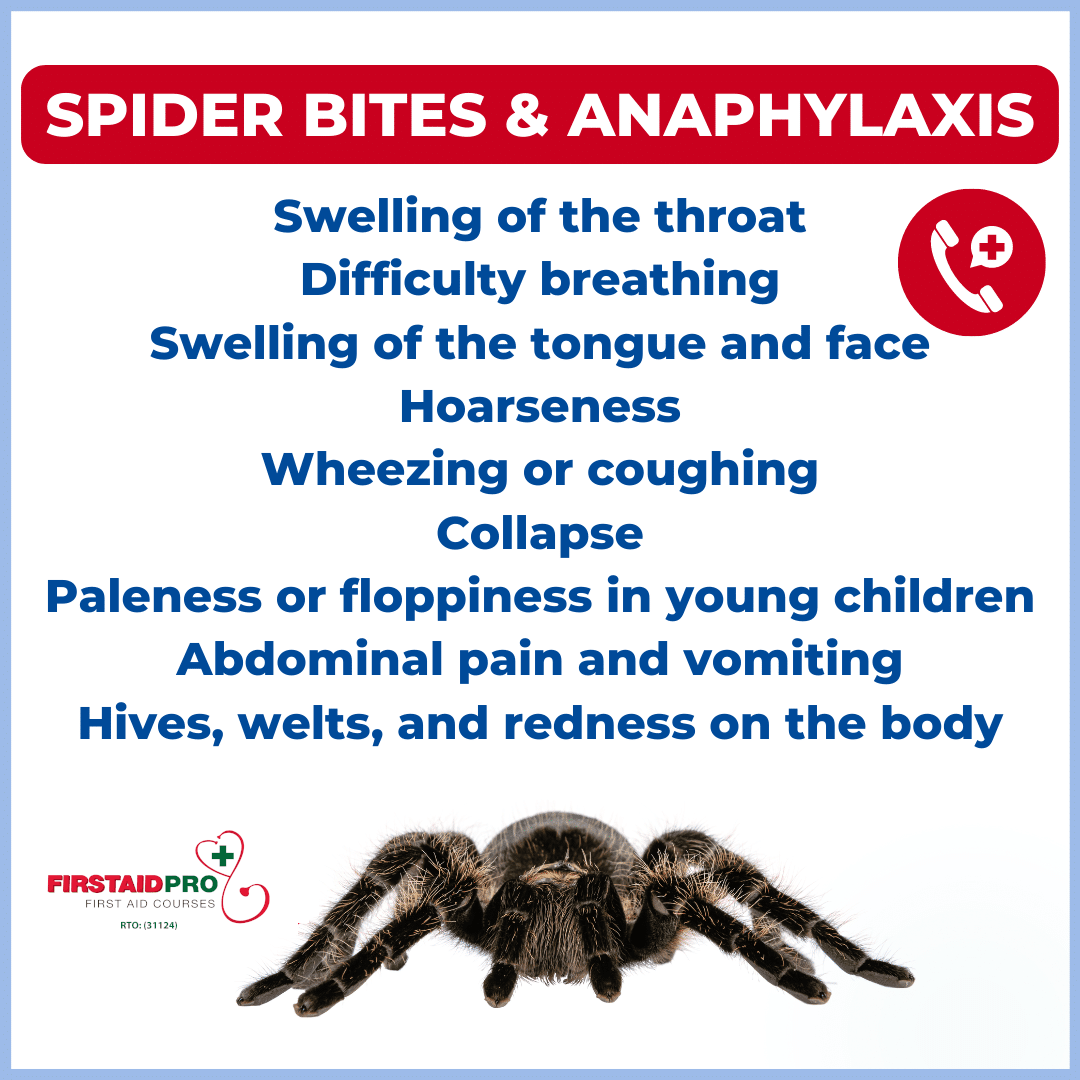 Spider Bites and Anaphylaxis
