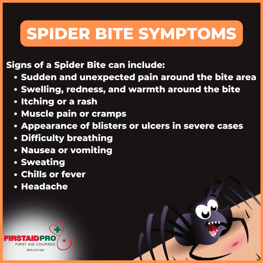 Spider bite symptoms min