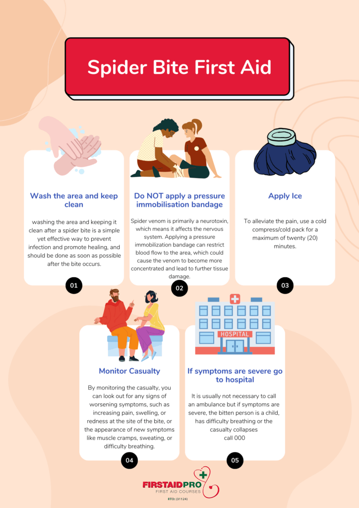 spider bite first aid