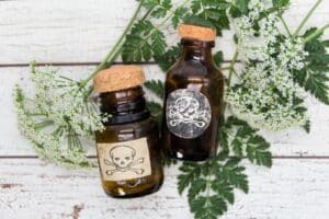 Highly poisonous flowers in Australia