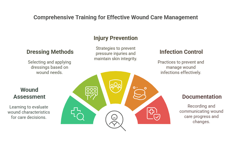 Complex Wound care training components