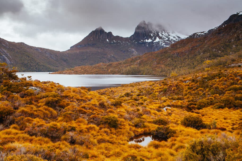 Cradle Mountain Tasmania