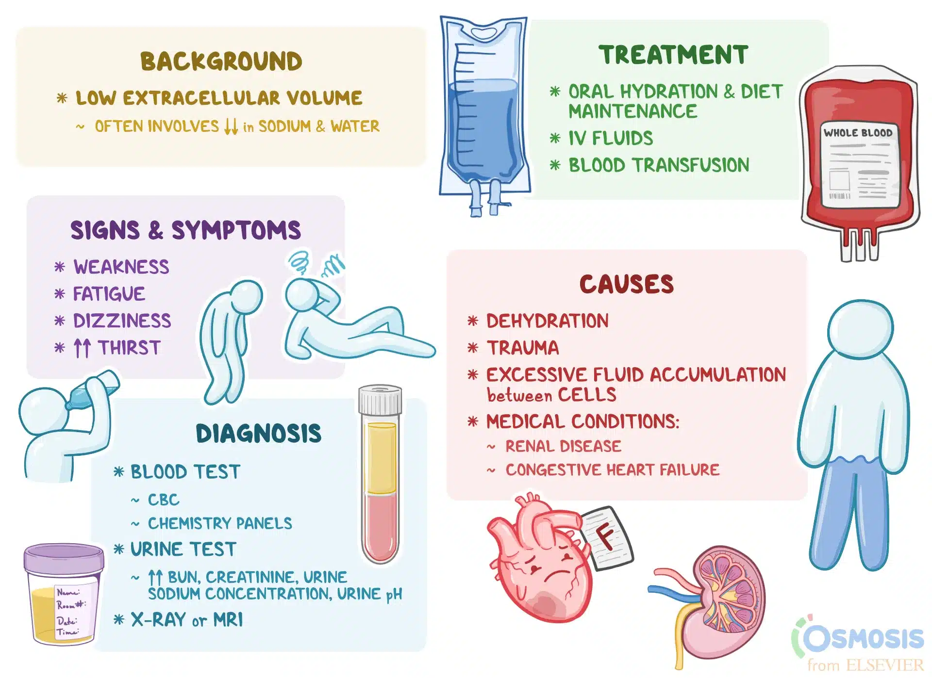 hypovolemia chart