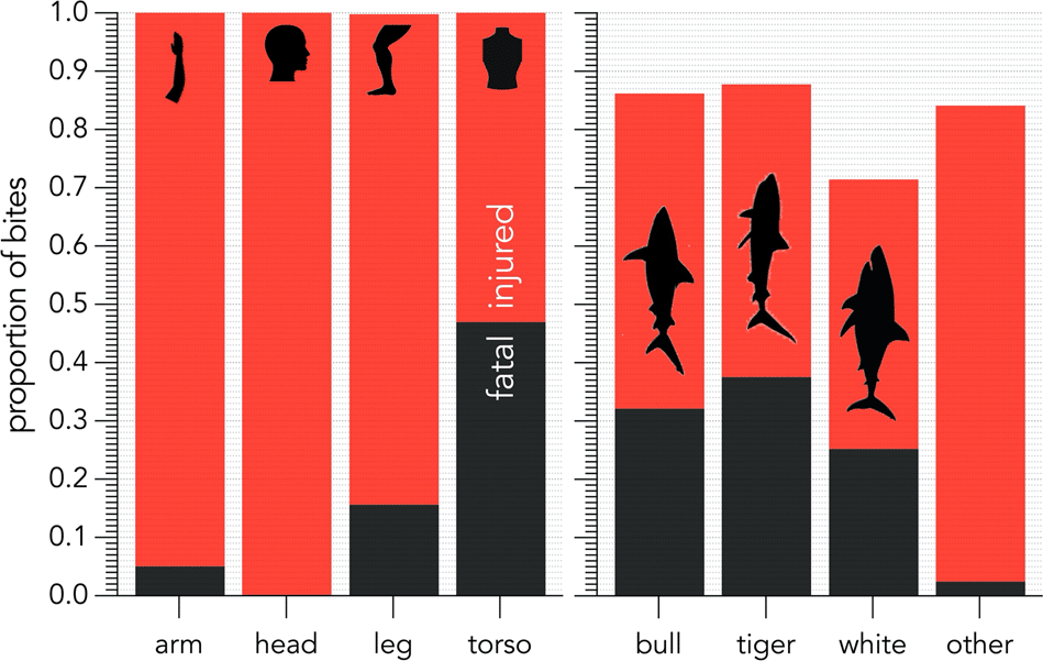 Graph: shark bites by species
